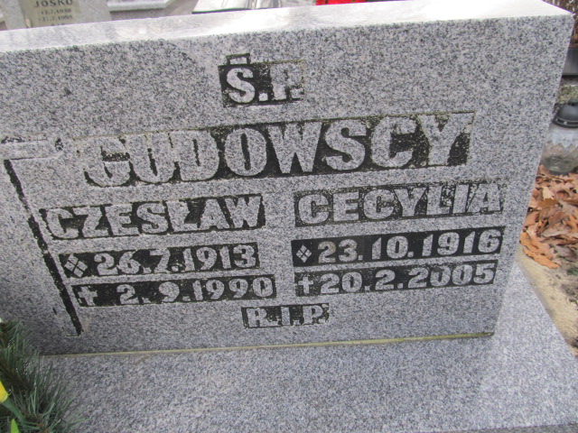 Elżbieta Święcicka 1943 Gliwice Wójtowa Wieś - Grobonet - Wyszukiwarka osób pochowanych