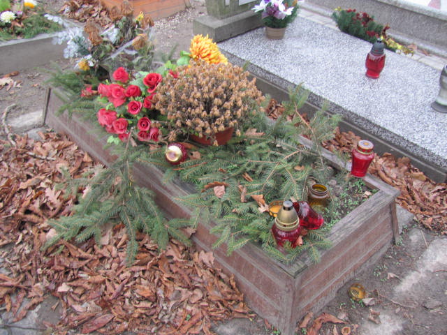  NN Gliwice Wójtowa Wieś - Grobonet - Wyszukiwarka osób pochowanych