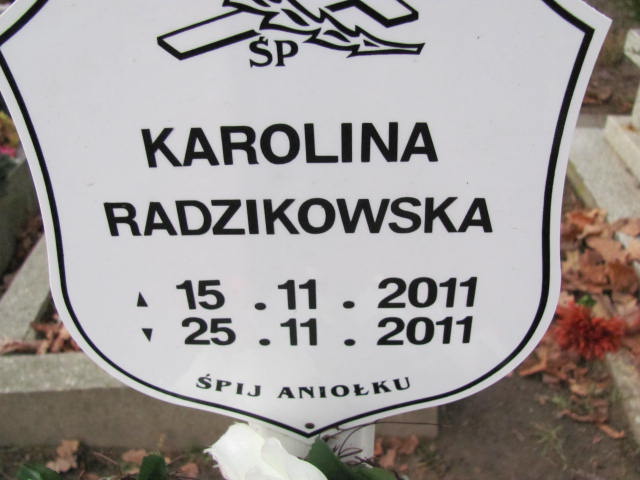 Karolina Radzikowska 2011 Gliwice Wójtowa Wieś - Grobonet - Wyszukiwarka osób pochowanych
